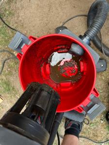 Vacuum bowl, disgusting!